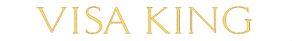 Visa King Logo